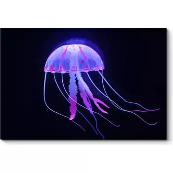 Картина Picsis 1234-10549789