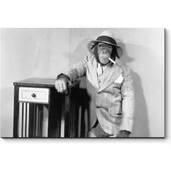 Картина Picsis 4774-10491328