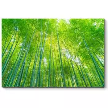 Картина Picsis 225-11116873