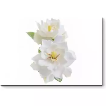 Картина Picsis 5958-13179031