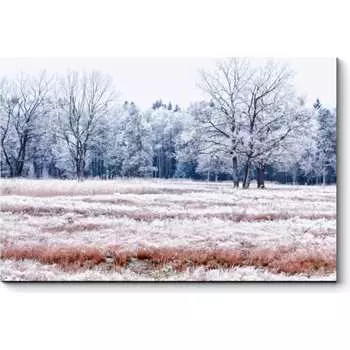 Картина Picsis 4588-10899002