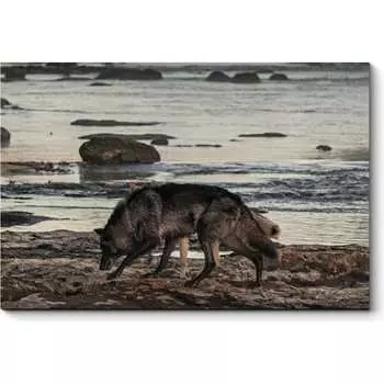 Картина Picsis 3753-12944359