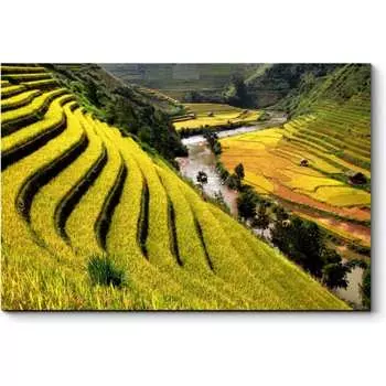 Картина Picsis 3474-9959635