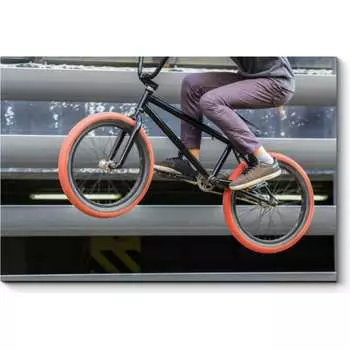 Картина Picsis 5544-10973747