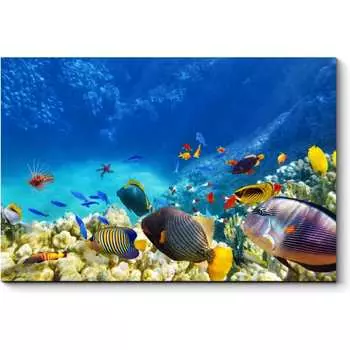 Картина Picsis 965-10485555