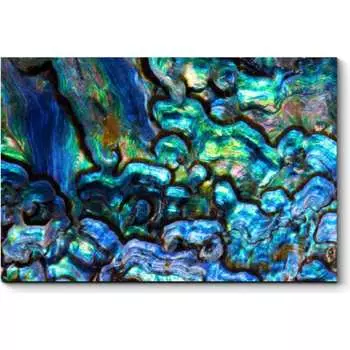 Картина Picsis 4152-10886092