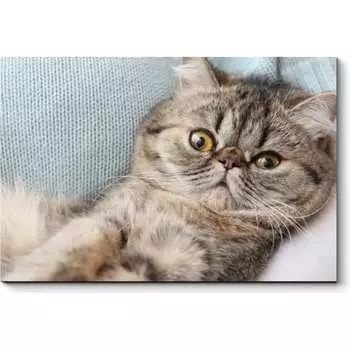 Картина Picsis 3629-10066416