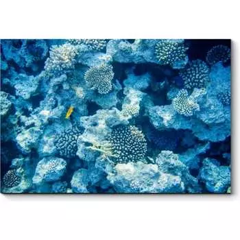 Картина Picsis 957-10483212