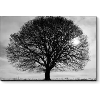 Картина Picsis 2520-10473564