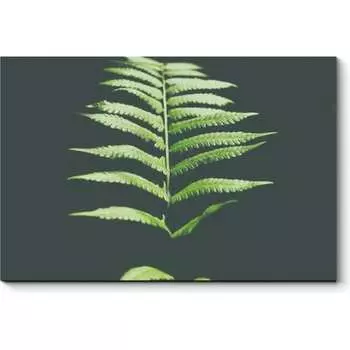 Картина Picsis 6399-13206871