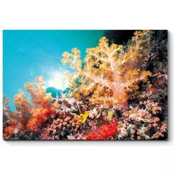 Картина Picsis 1317-10426083