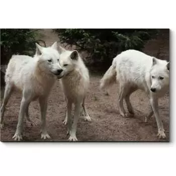 Картина Picsis 3729-10465441