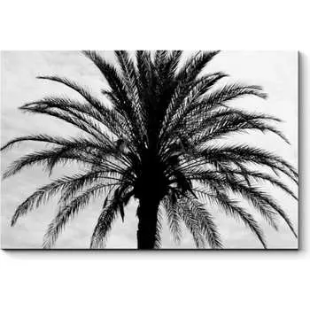 Картина Picsis 2585-10498618