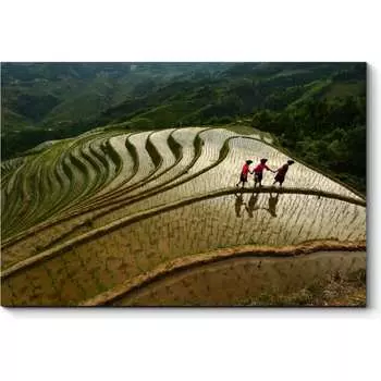 Картина Picsis 5910-11114009