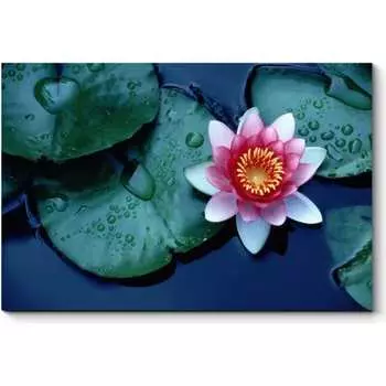 Картина Picsis 4560-10030919