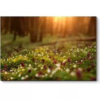 Картина Picsis 3241-10819918