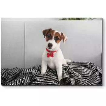 Картина Picsis 3696-9983703