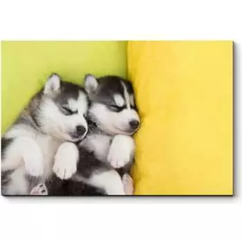 Картина Picsis 3695-10089791