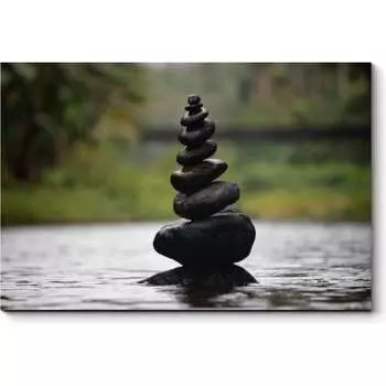 Картина Picsis 5663-11015247