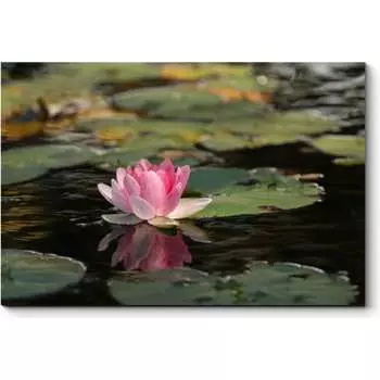 Картина Picsis 5660-11014409