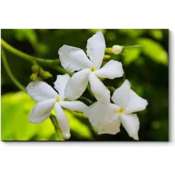 Картина Picsis 5962-13176215