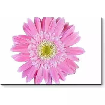 Картина Picsis 5946-13187193