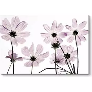 Картина Picsis 2394-9894811