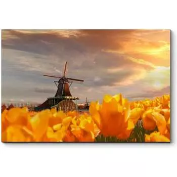 Картина Picsis 3955-10074312