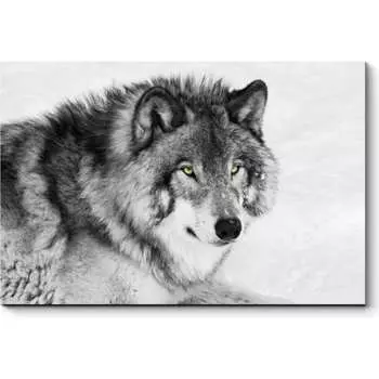 Картина Picsis 3745-9847037