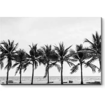 Картина Picsis 2579-10771827