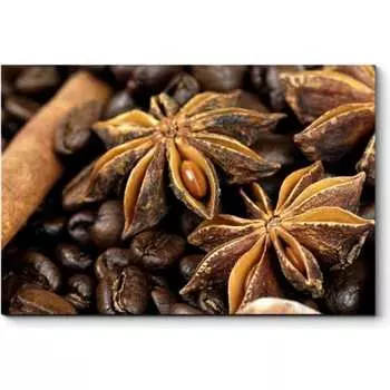 Картина Picsis 1719-11080120