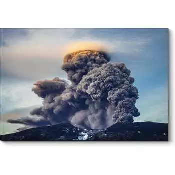 Картина Picsis 3391-9941968