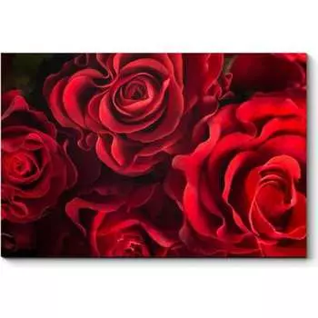 Картина Picsis 4566-10032941