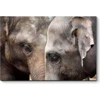 Картина Picsis 903-10453543