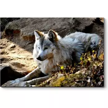 Картина Picsis 3737-9845182