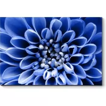 Картина Picsis 6101-13095702