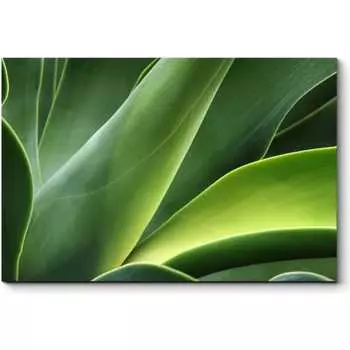 Картина Picsis 2419-9902183