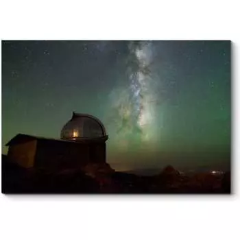 Картина Picsis 6028-13137585