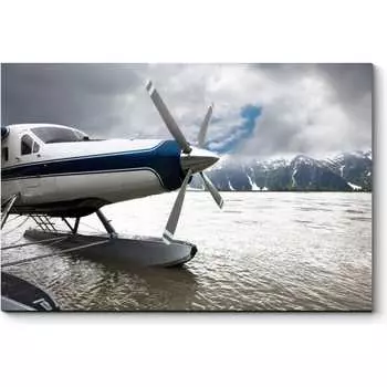 Картина Picsis 5480-10165239