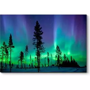 Картина Picsis 3183-10814663