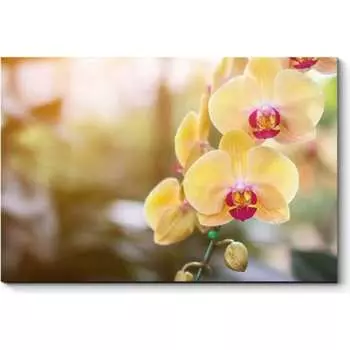 Картина Picsis 633-10374654