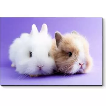 Картина Picsis 1164-10051673