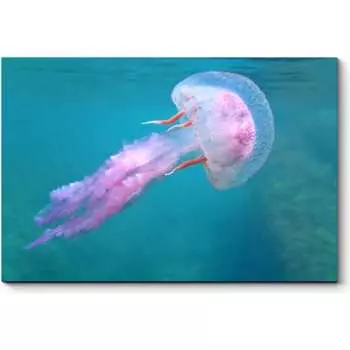 Картина Picsis 1220-10053799