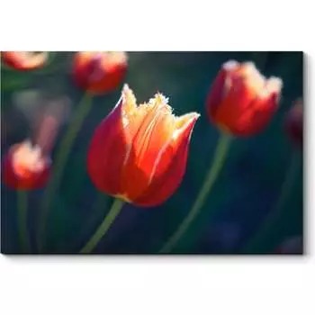 Картина Picsis 4546-10027085