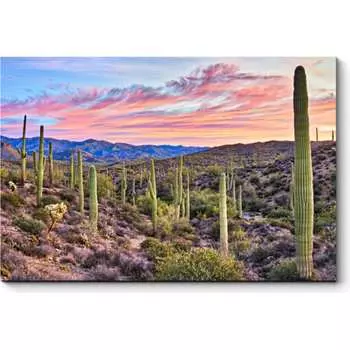 Картина Picsis 3305-9777022