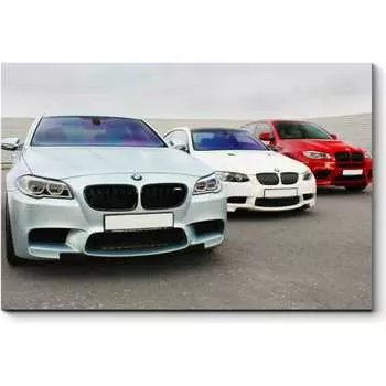 Картина Picsis 5396-10960498