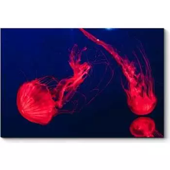 Картина Picsis 1237-10550497