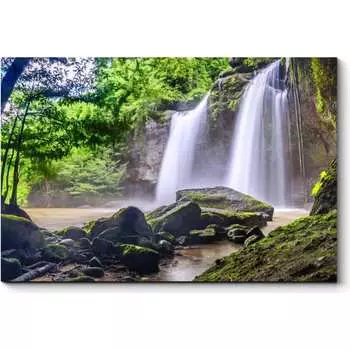 Картина Picsis 4255-10895800