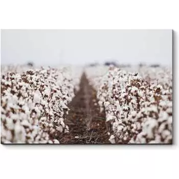 Картина Picsis 3450-9953594