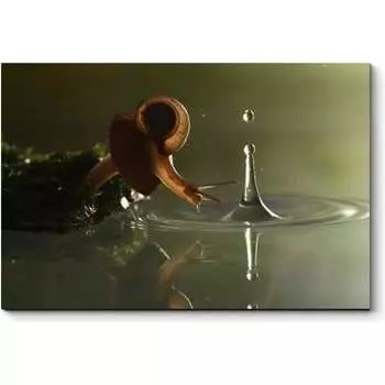 Картина Picsis 1388-10430217